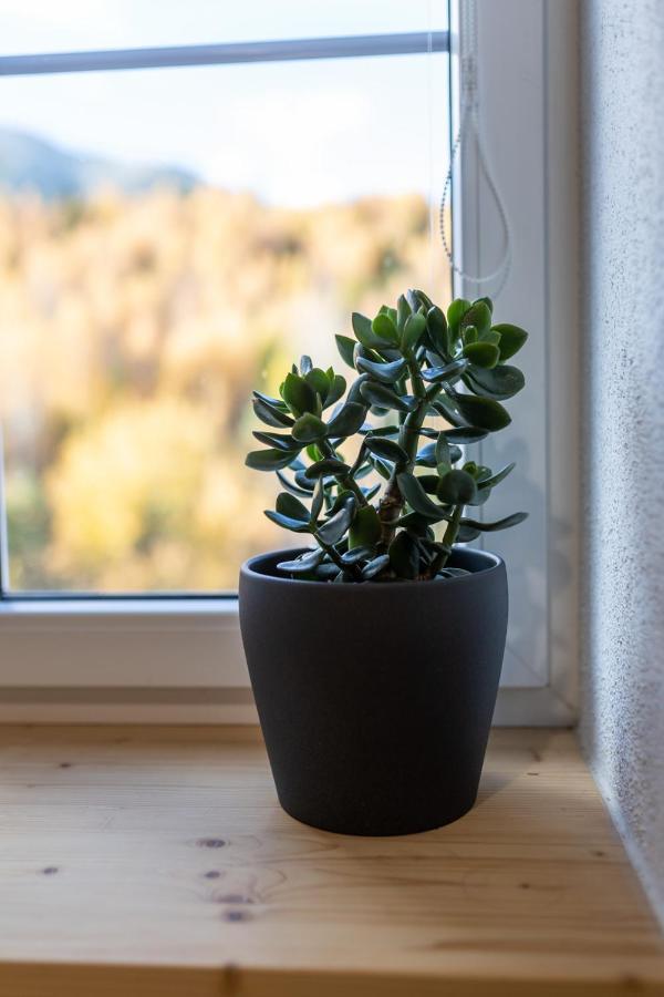 Vila Vlasta Apt. #401 Vysoke Tatry Bagian luar foto