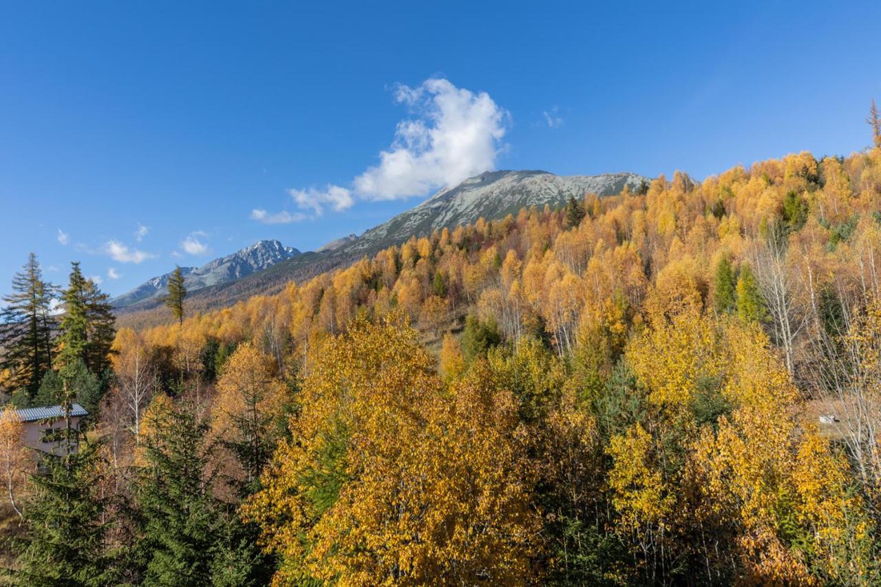 Vila Vlasta Apt. #401 Vysoke Tatry Bagian luar foto